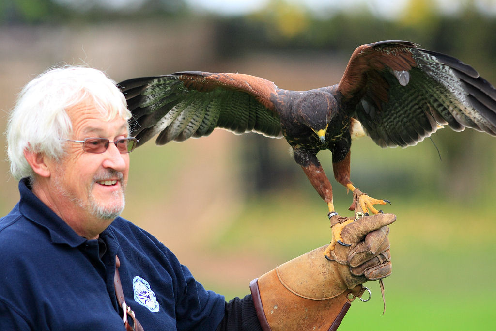 200mm 1/800sec f2.8 +1/3 stop (ISO 400)