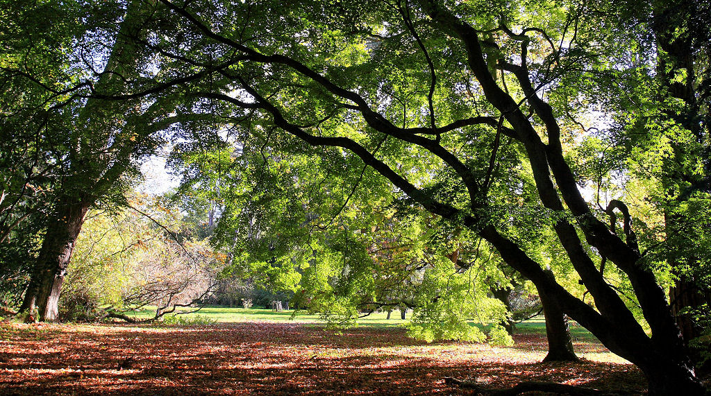 17mm 1/80sec f6.3 -1/3 stop (ISO 200)